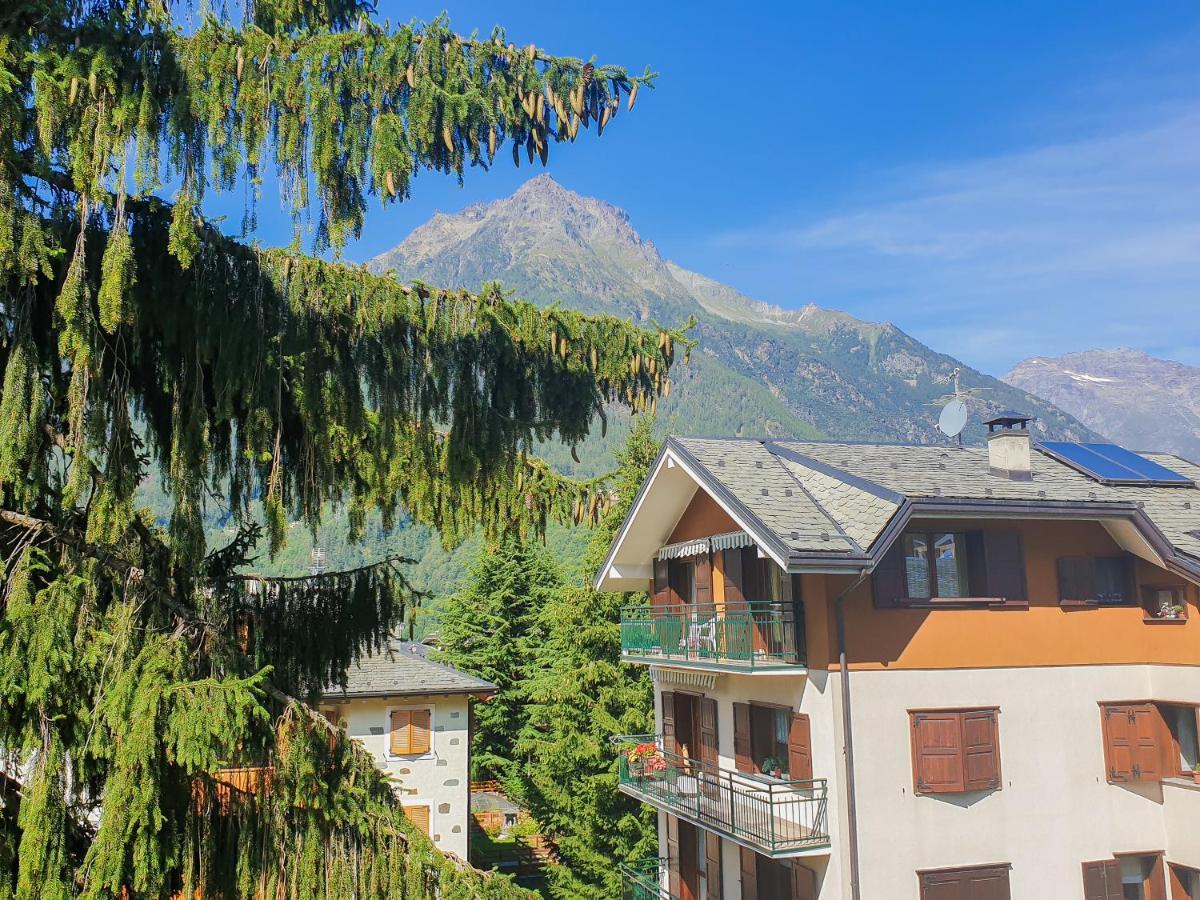 Hotel Fior Di Monte Caspoggio Exterior photo